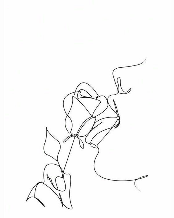 liner16