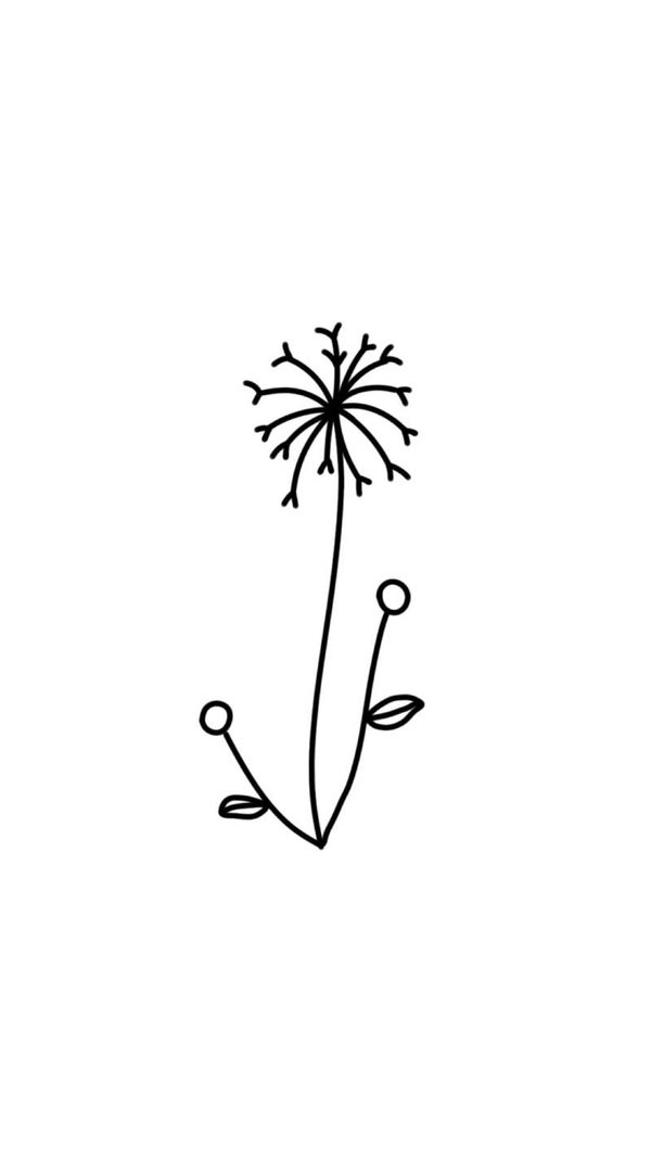 Flower72