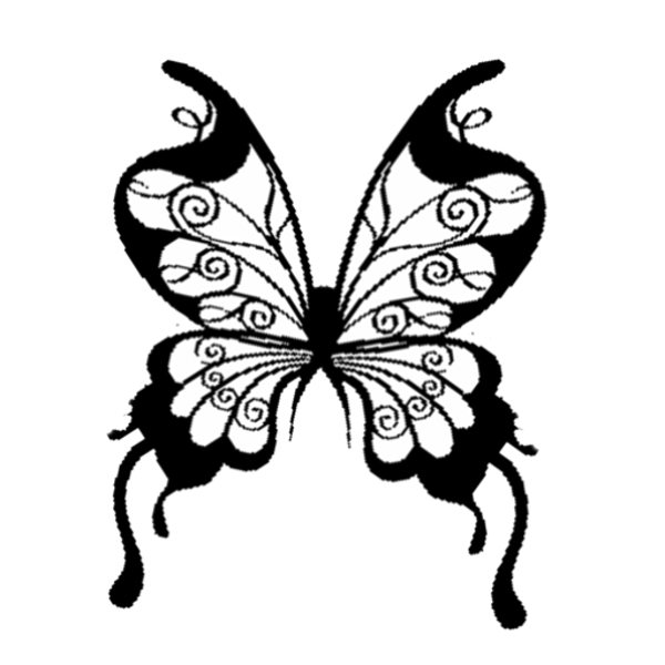 butterfly