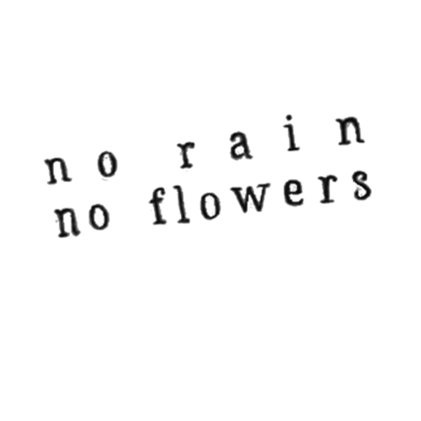 no Rain, no Flowers