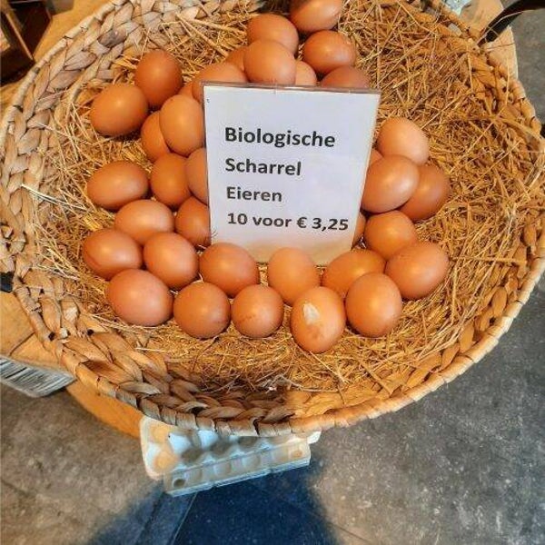 Biologische scharrel eieren