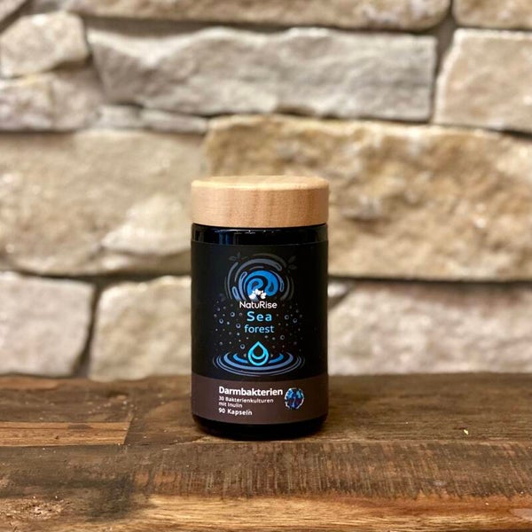 Darmbakterien R50526