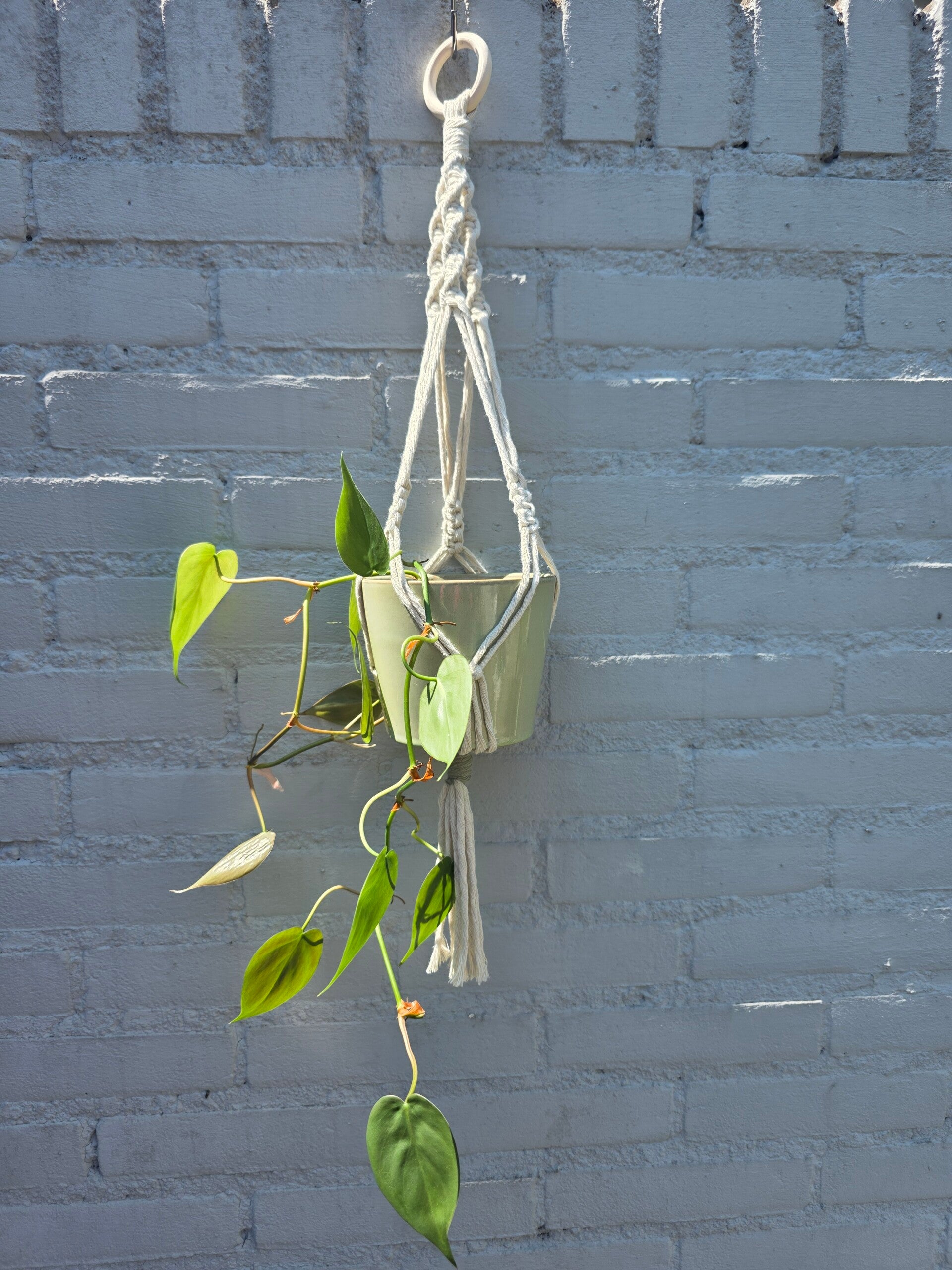 Macrame Plantenhanger