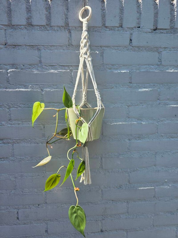 Macrame Plantenhanger