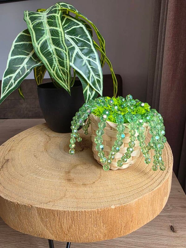 Beadplantje in hanger