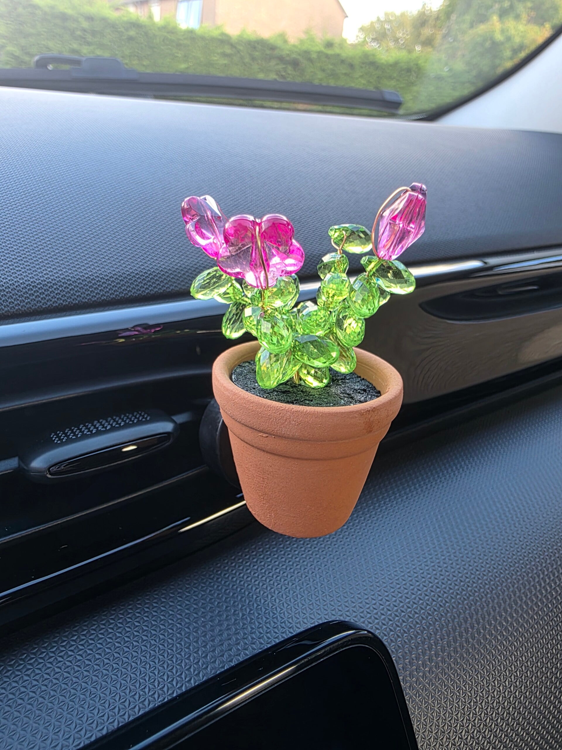 Autoplantje