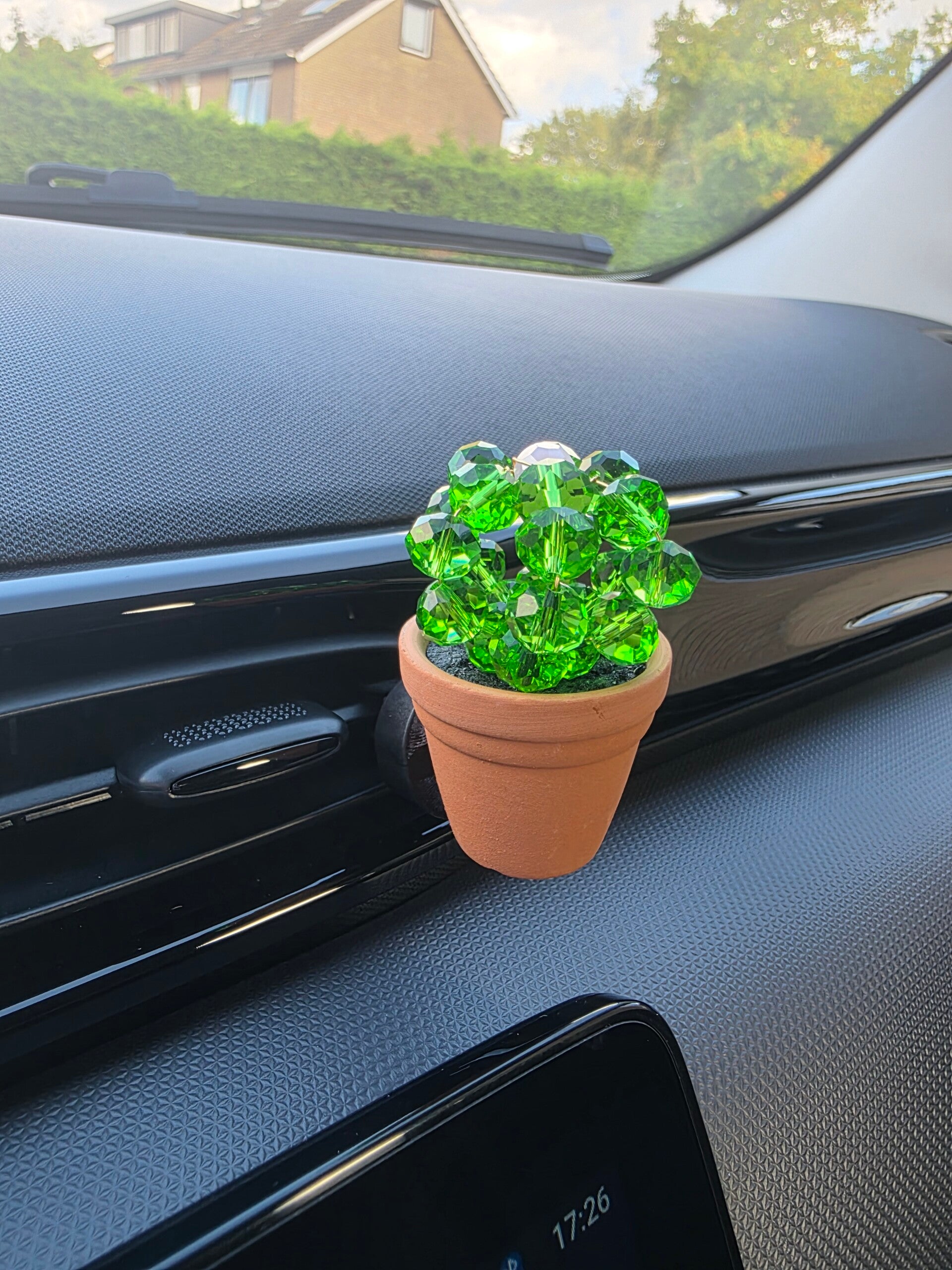 Autoplantje