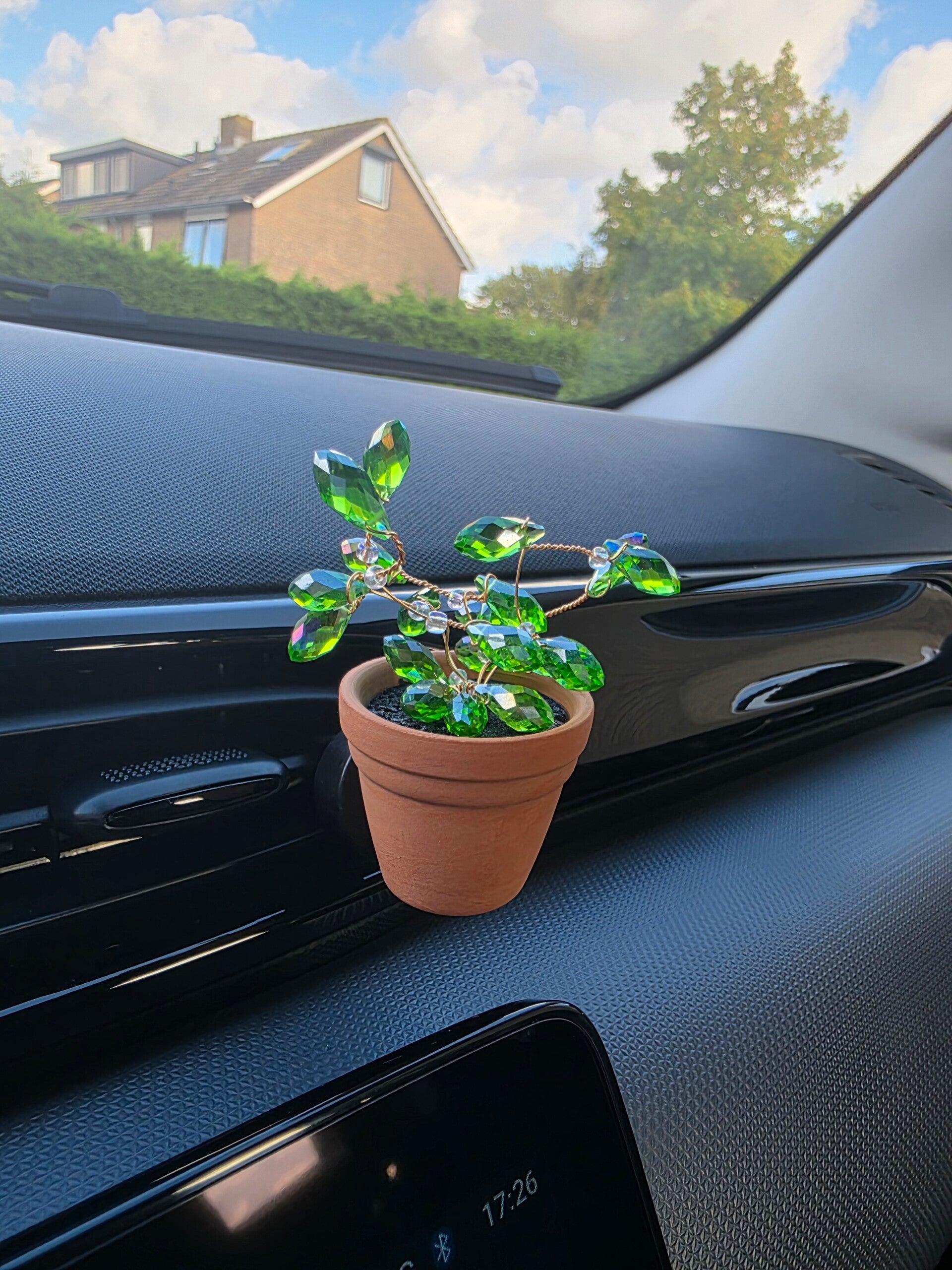 Autoplantje