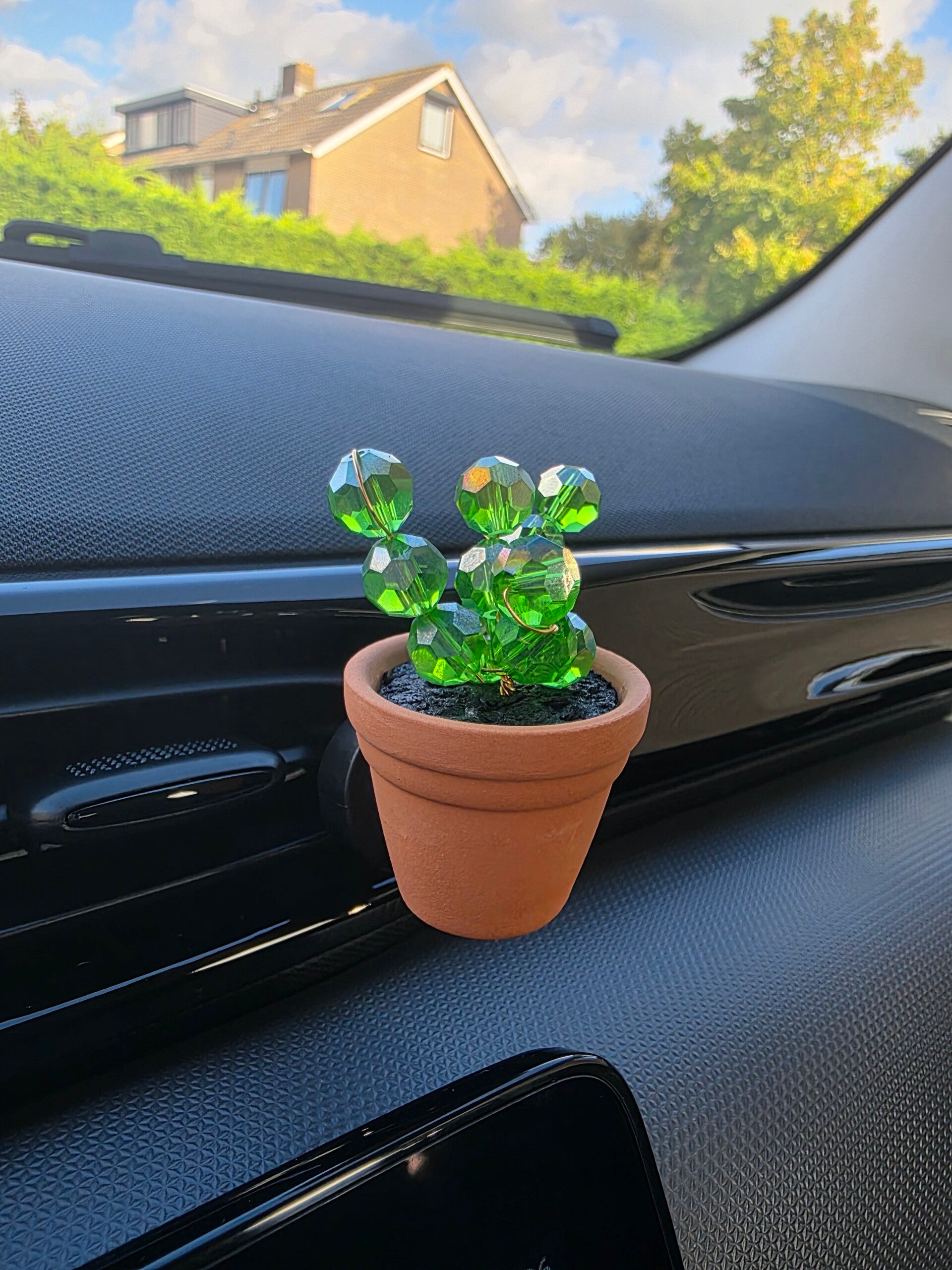 Autoplantje
