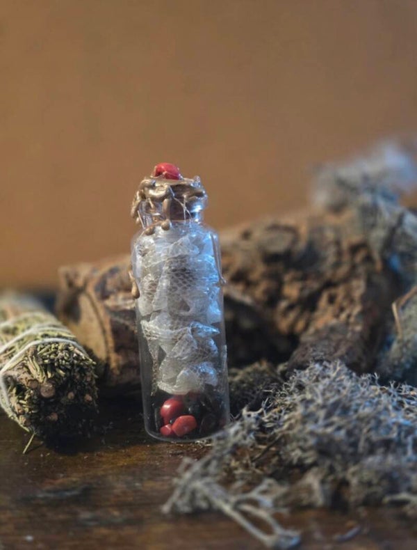 Snake Skin Jar of Curiosity