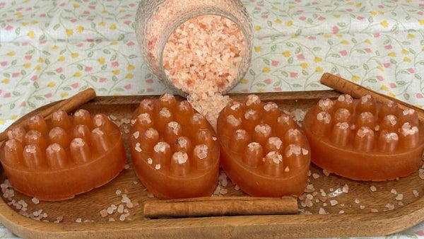 Pumpkin Spice & Himalayan Salt  Soap