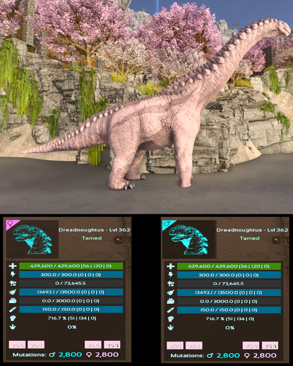 ID254 716M Dreadnoughtus adult clones