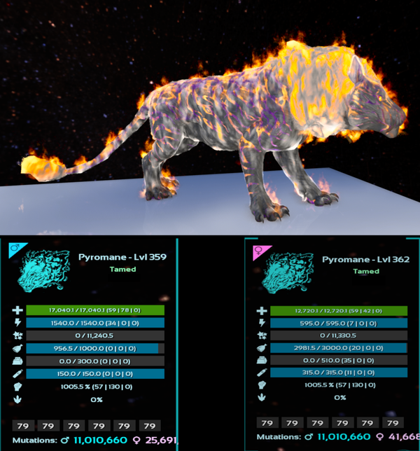 ID79 Pyromane adult clones