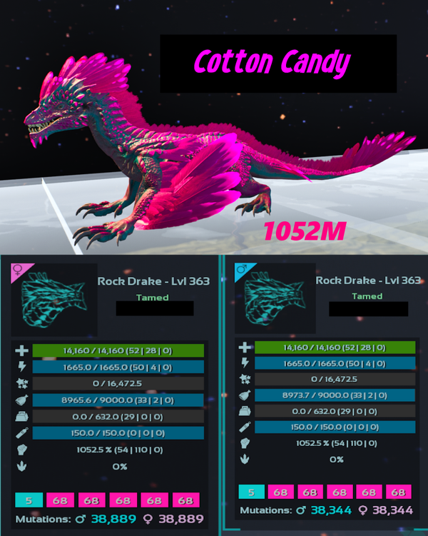 Cotton Candy  1052m Rock Drake adult clones