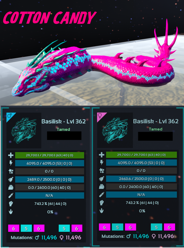 Cotton Candy Basilisk Adult Clones