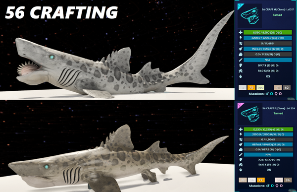Helicoprion 56 crafting adult clones