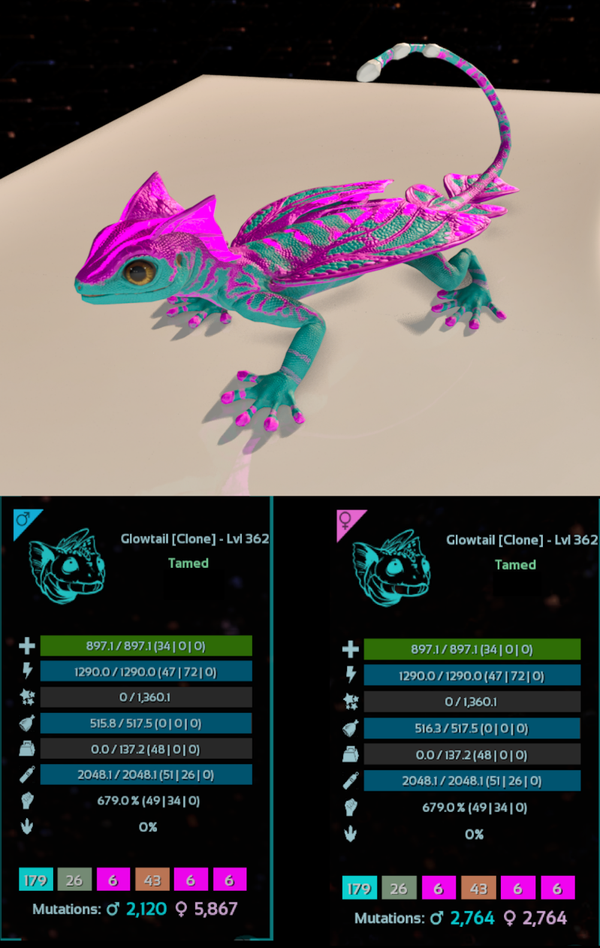 Cotton Candy Glowtail adult clones