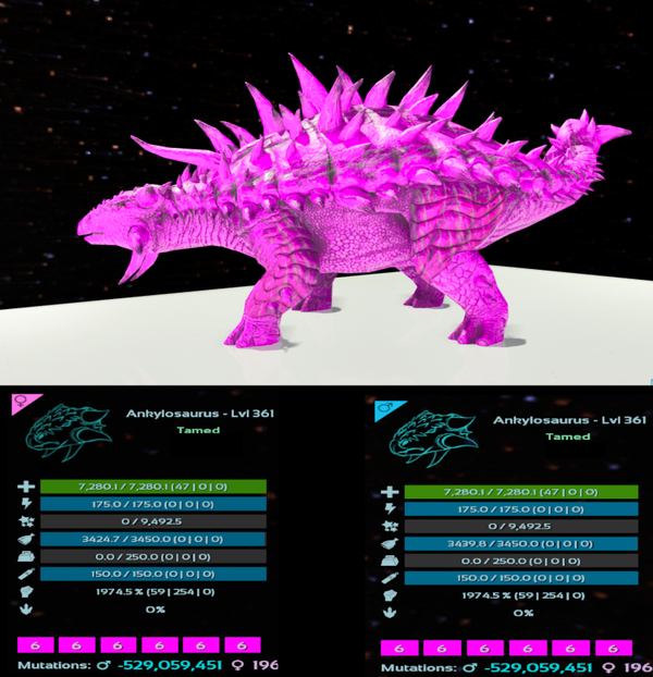 ID6 Ankylosaurs 1974m Adult clones