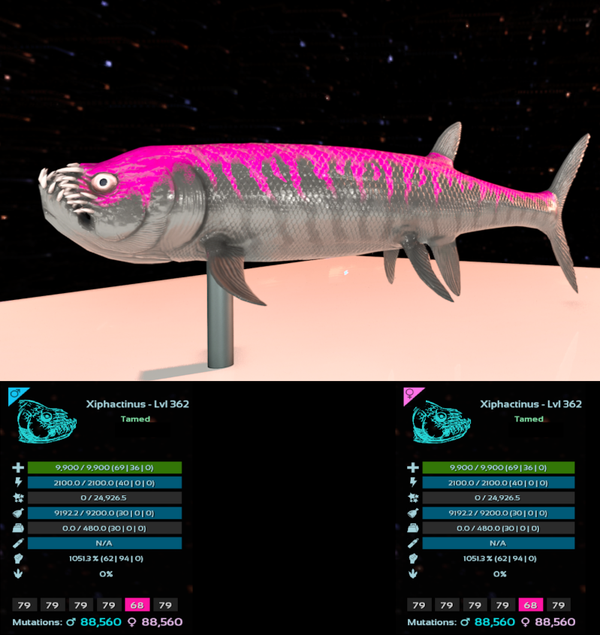 Playboy Xiphactinus adult clones