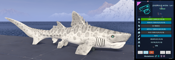 ID36 FEMALE Helicoprion ADULT CLONES