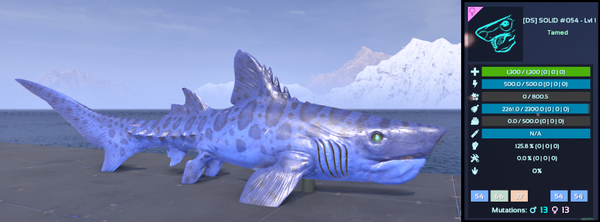 ID54 FEMALE Helicoprion ADULT CLONES