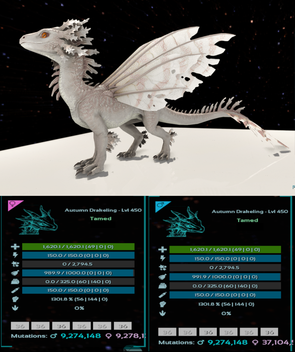 ID36 LVL450 Autumn Drakeling clones