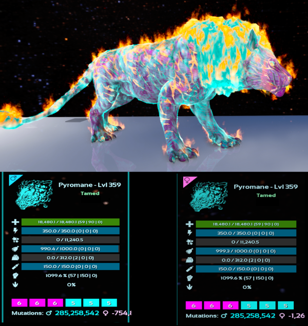 Cotton Candy  Pyromane adult clones