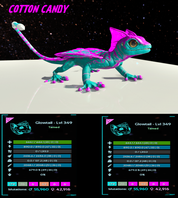 Cotton Candy Glow tail Adult clone and eggs