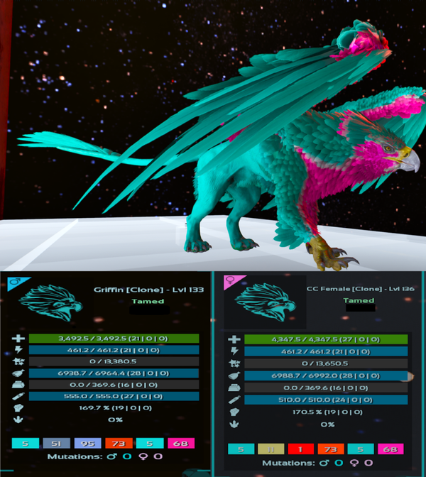 Cotton Candy Adult Griffin  clones