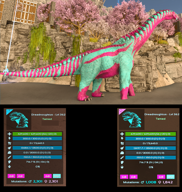 Cotton Candy 716m Dreadnoughtus adult clones