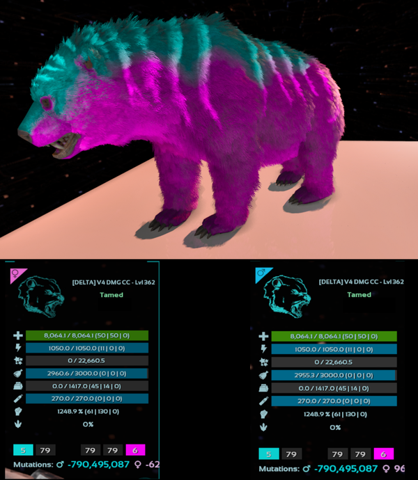 Cotton Candy Ab Bear adult clones