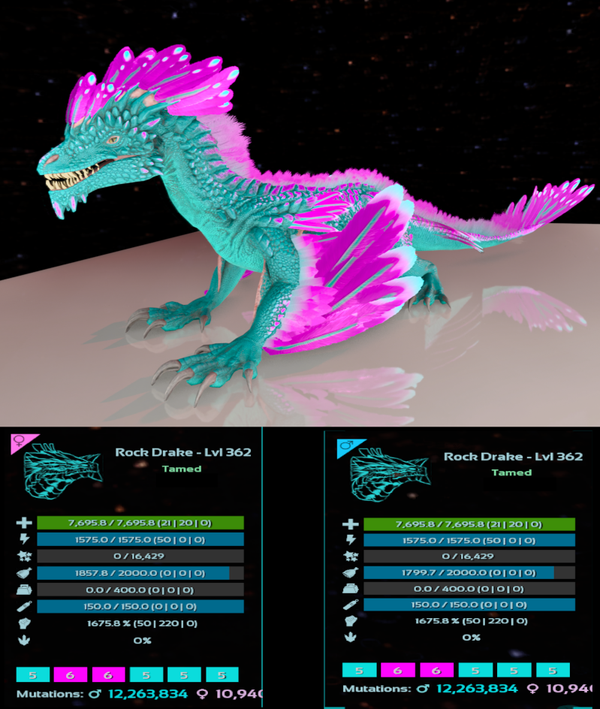 Cotton Candy Rock Drake 1675m adult clones