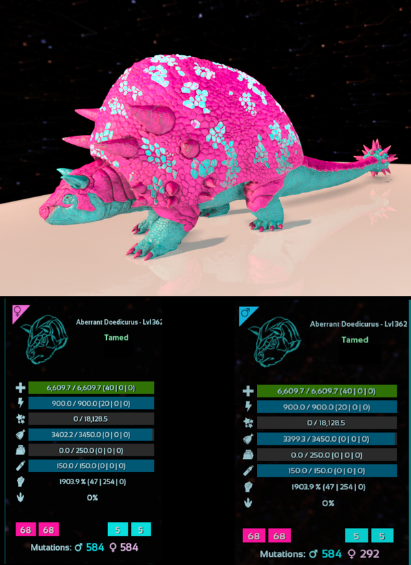 Cotton Candy Doeds adult clones