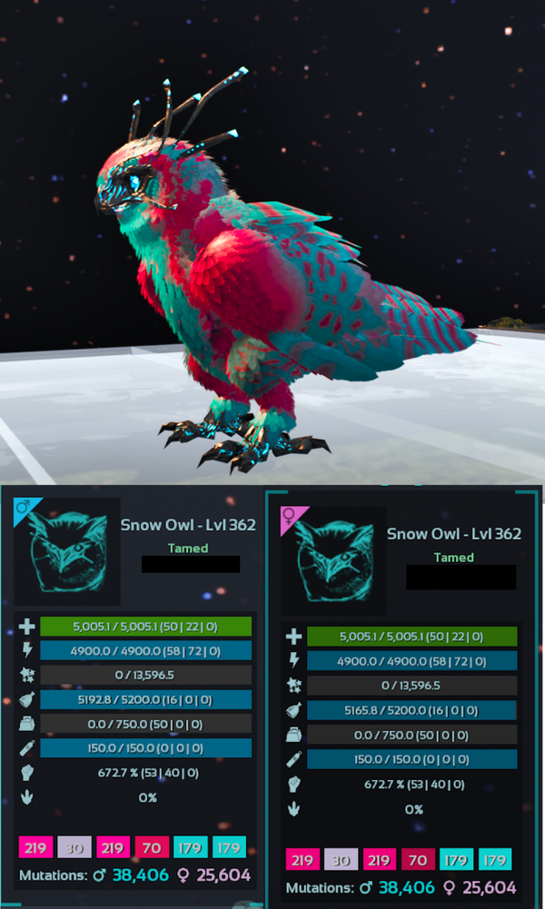 Cotton Candy Snow Owl Adult Clones