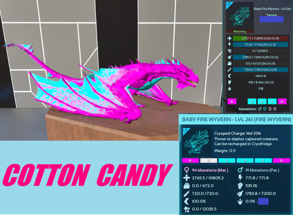 Cotton Candy Fire Wyvern adult clone