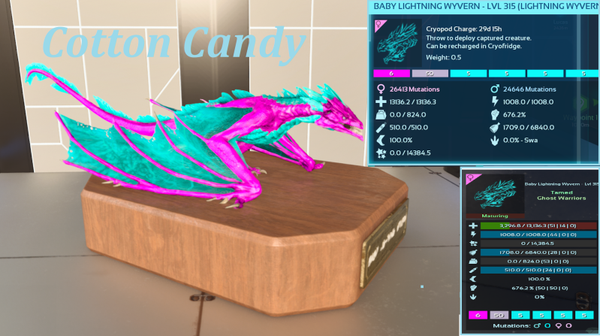 Cotton Candy Wyvern Adult clone