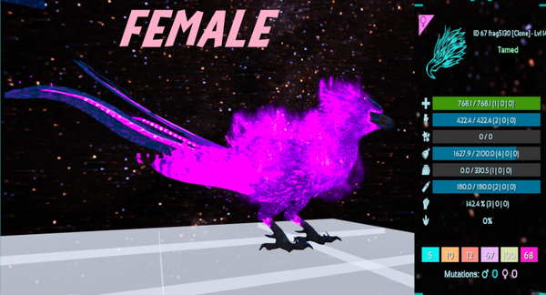 Level 14 Female adult Phoenix Clone