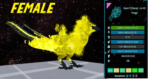 Level 43 Female adult Phoenix Clone