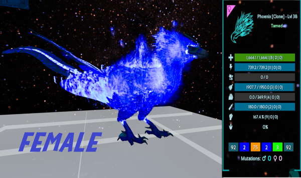 Level 33 Female adult Phoenix Clone