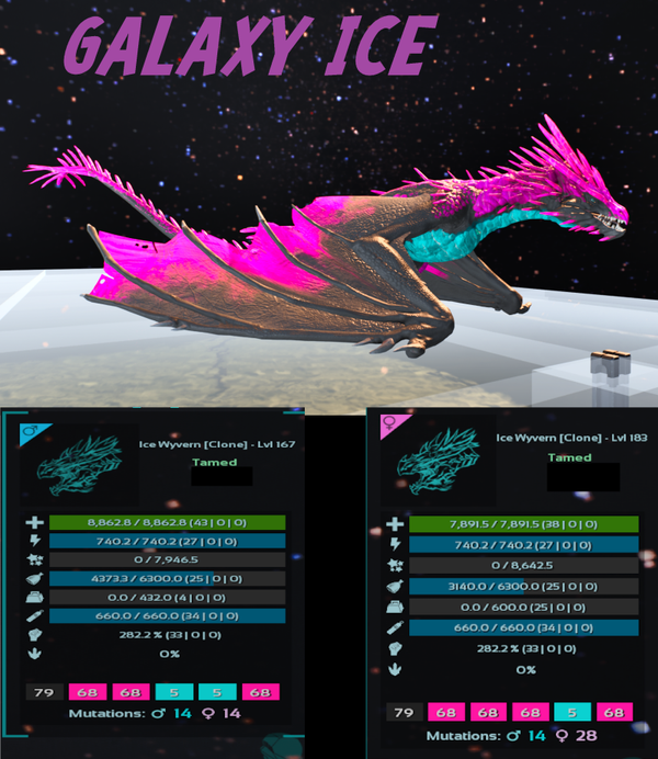 Galaxy ICE Wyvern Adult clone