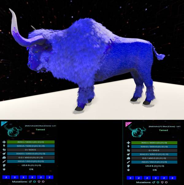 LVL1 ID2 Bison adult clones