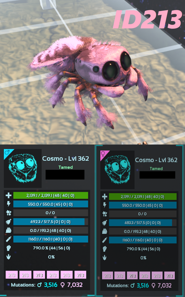 ID213 Cosmo Spider Adult clones and eggs