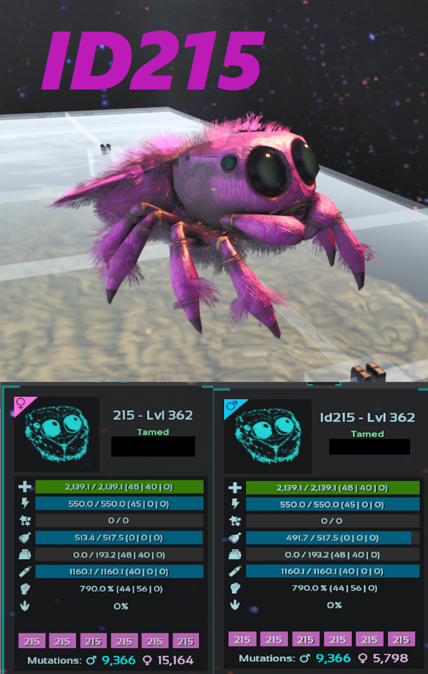 ID215 Cosmo Spider Adult clones and eggs