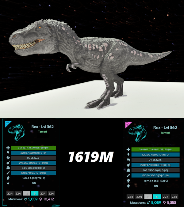 ID224 1619M REX Adult clones
