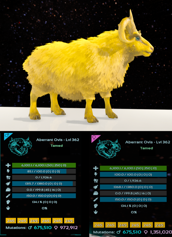 ID245 Aberrant Ovis ADULT CLONES