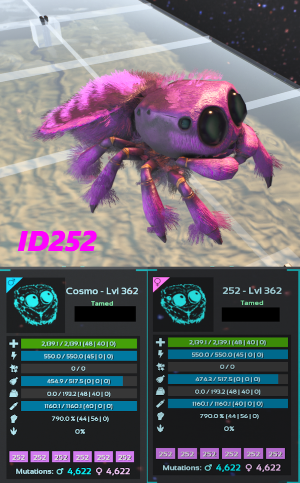 ID252 Cosmo Spider Adult clones and eggs