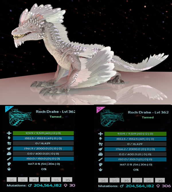 ID36 Rock Drake 1617m adult clones