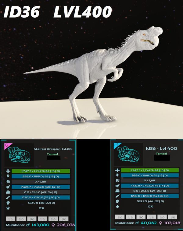 ID36 Adult clones and eggs