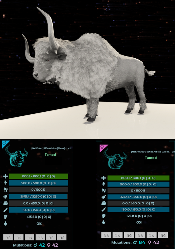 LVL1 ID36 Bison adult clones