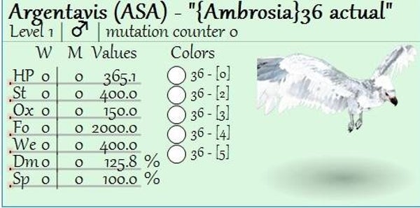 ID36 Lvl 1 Argy female adult clones